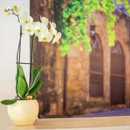 Apartmanhotel Casa Artemida Boutique 3*